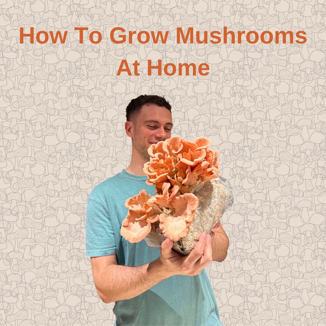 e-Book: How To Grow Mushrooms At Home