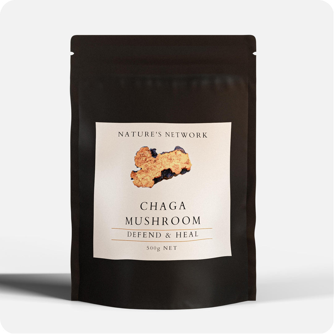 Chaga Dual Extract Powder